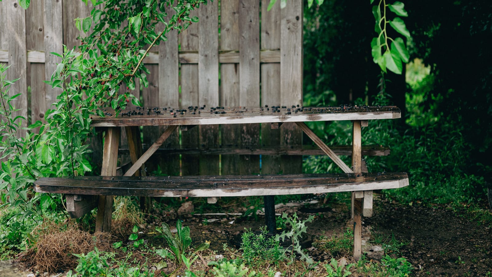 Build a picnic table with your kids in one weekend