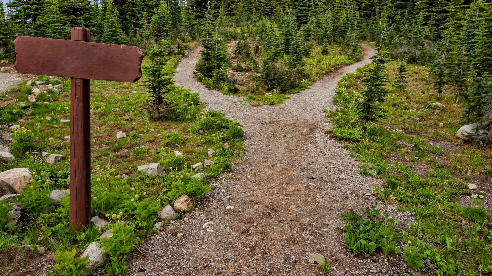 How to Decide When Both Roads Look Right
