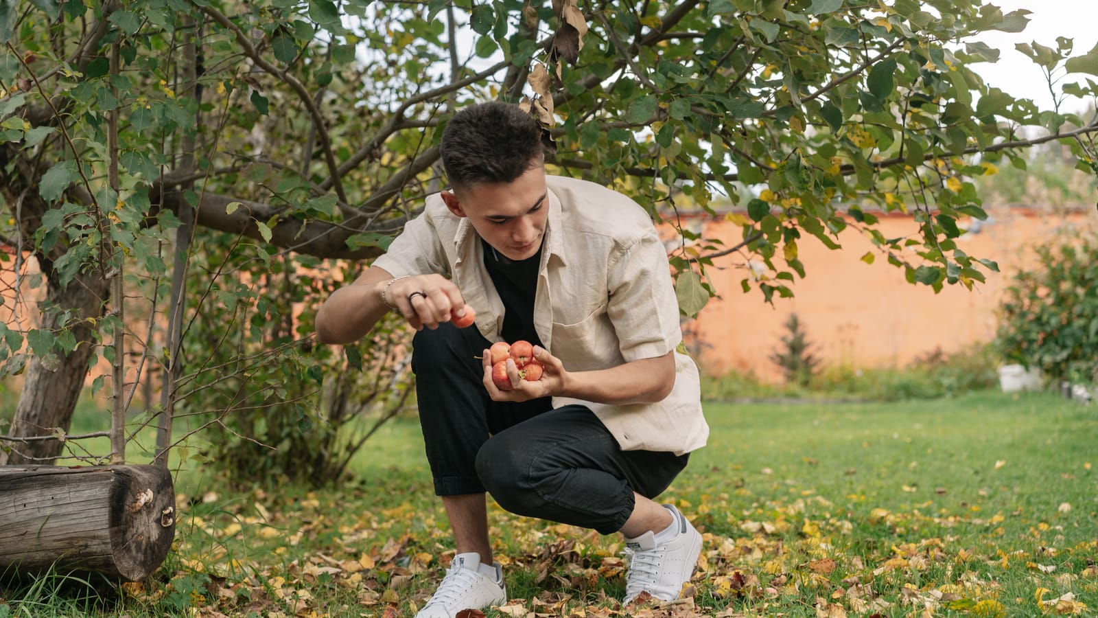 Plant fruit trees now and you'll eat from them by year five
