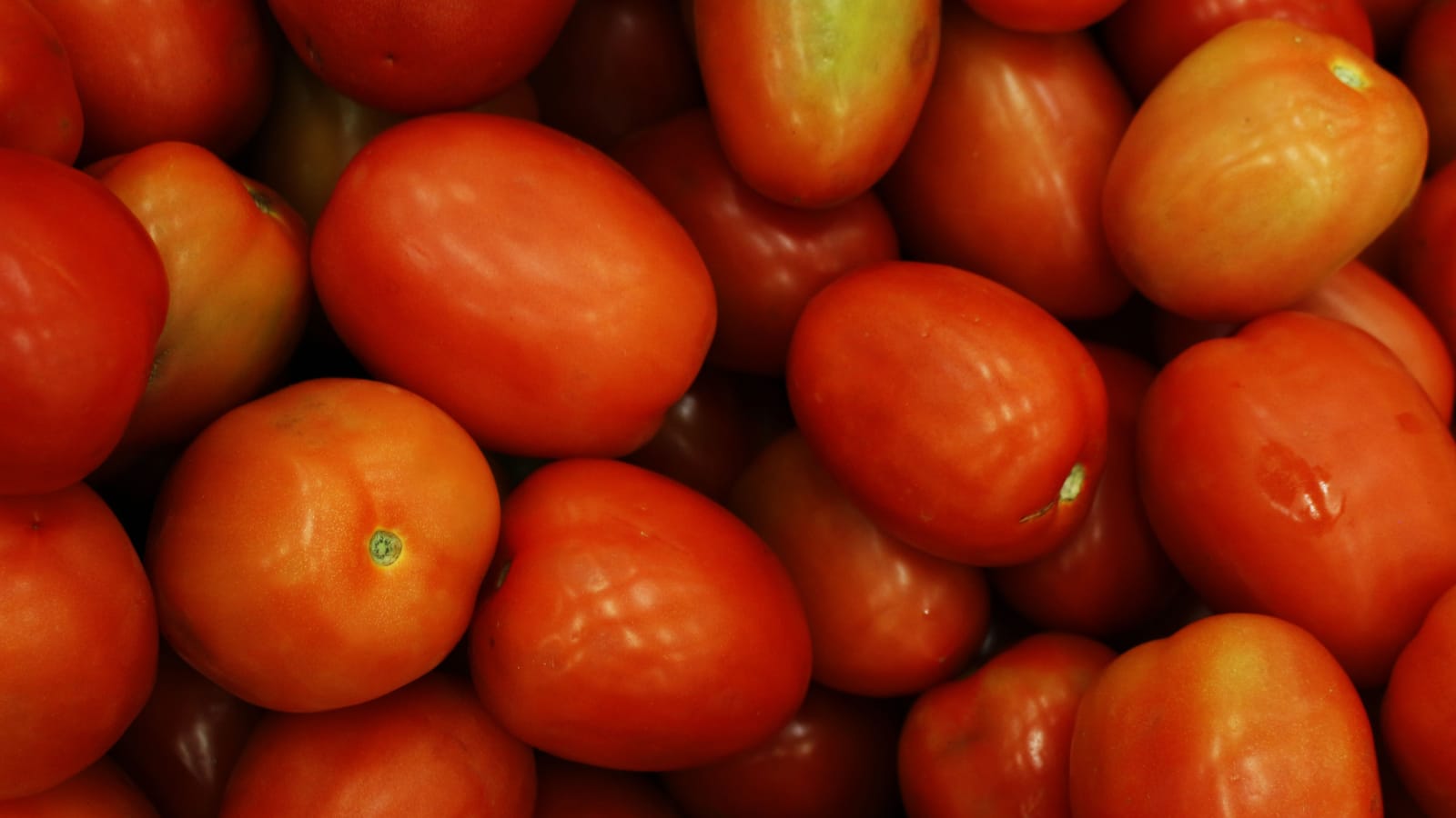 Plant Paste Tomatoes If You Actually Want Sauce