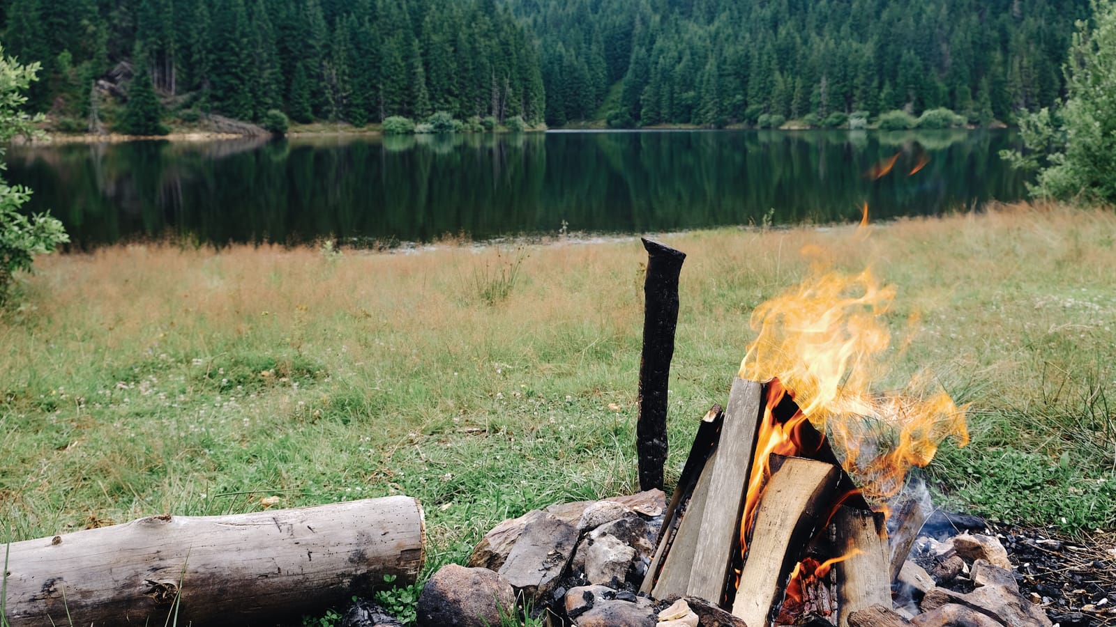 Survival Films Worth Pausing to Talk About With Your Kids