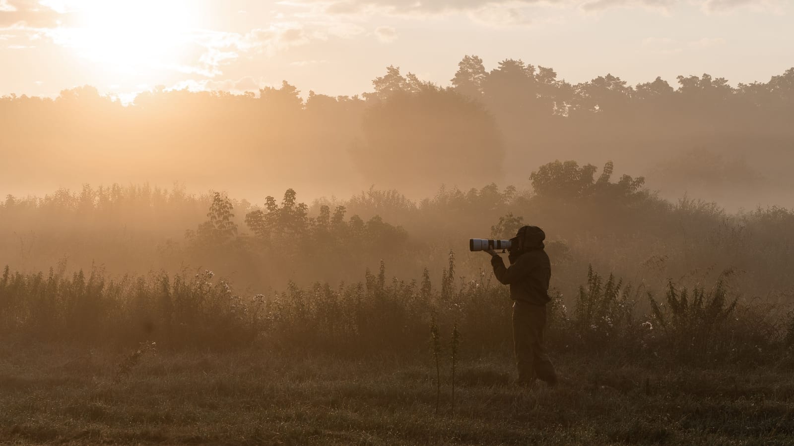 The cheapest way to spend more Saturdays outside is a used camera