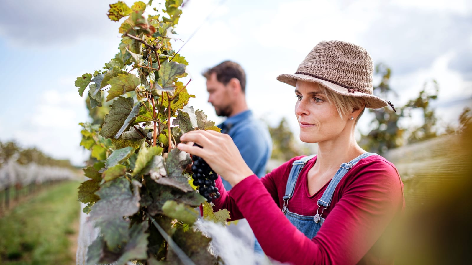The Proverbs 31 Woman Bought a Field and Ran a Business
