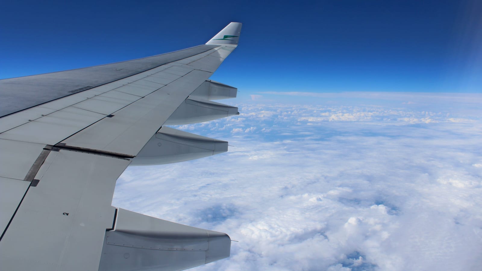Why Airplanes Fly and Why Turbulence Won't Break One