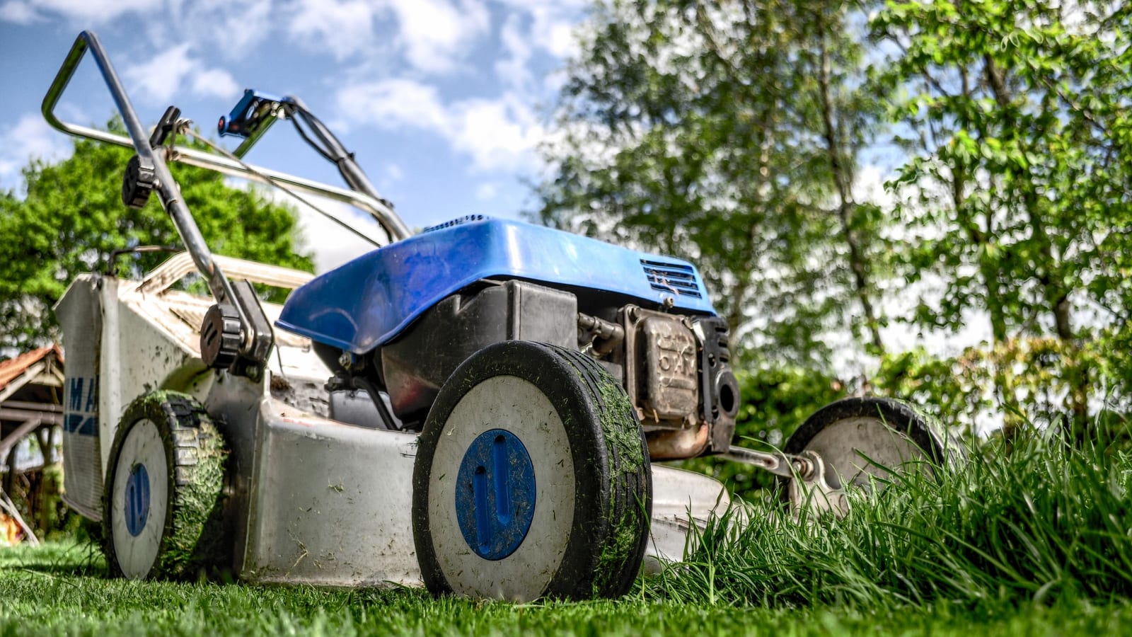 Your first lawn mow, and the bald stripe the whole street can see